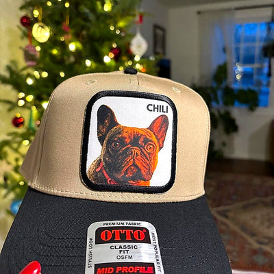 PetCap customer photo