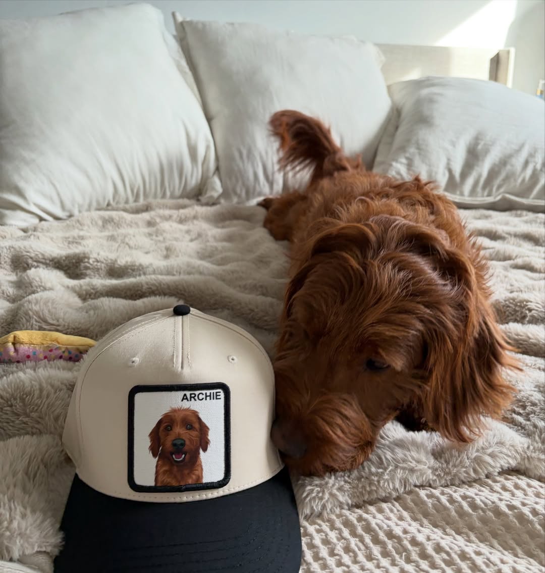 Customer photograph shared with PetCap