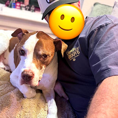 PetCap customer photo
