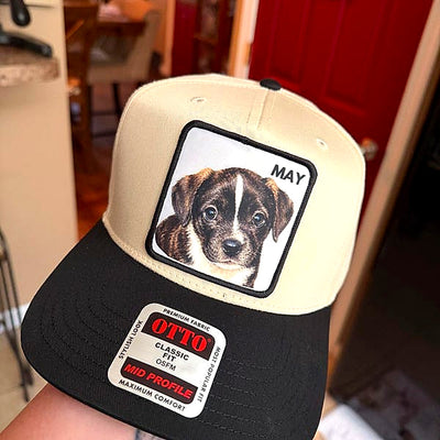 PetCap customer photo