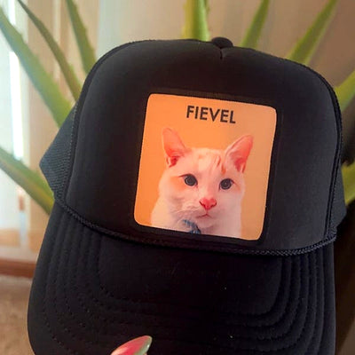 PetCap customer photo