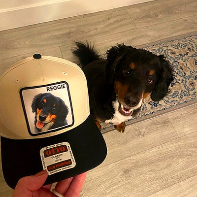 PetCap customer photo