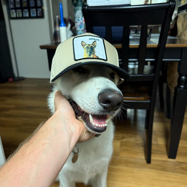 Customer PetCap photo