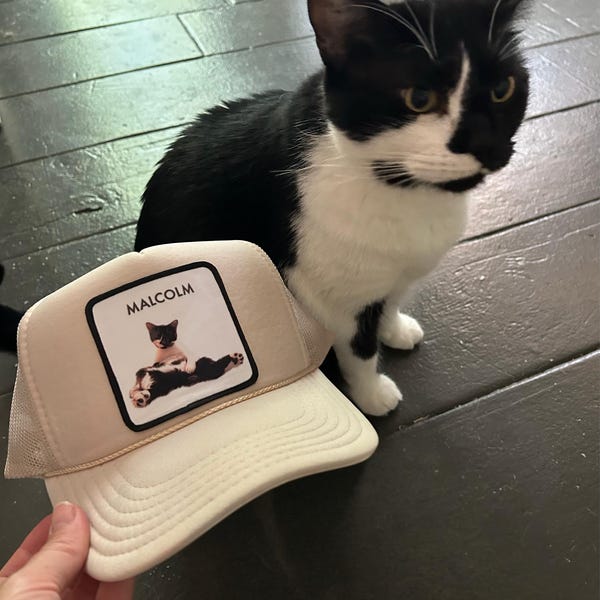 Customer PetCap photo