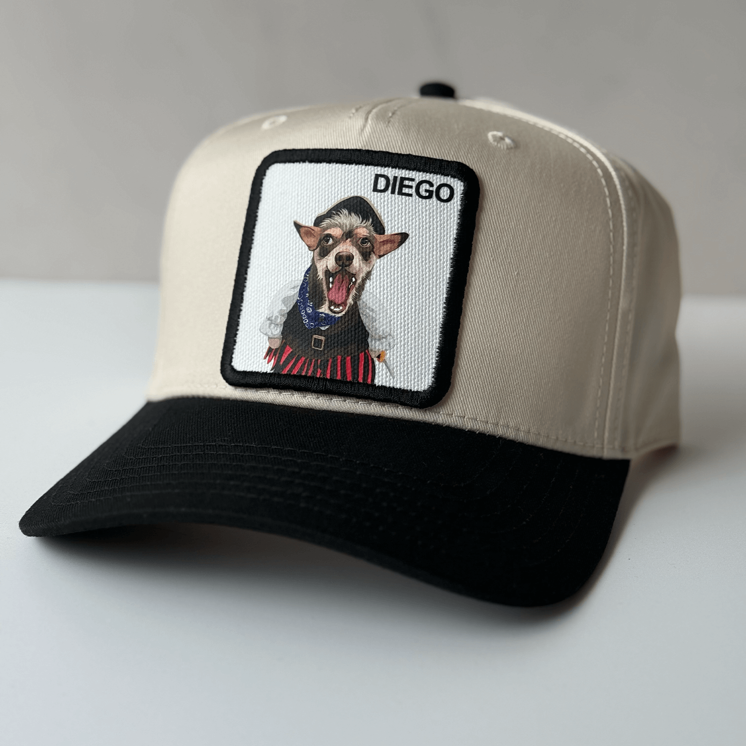 Finished custom pet portrait hat